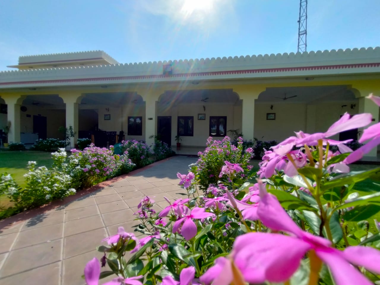 Black Bear Farmhouse - A Luxury Farmhouse in Jaipur 