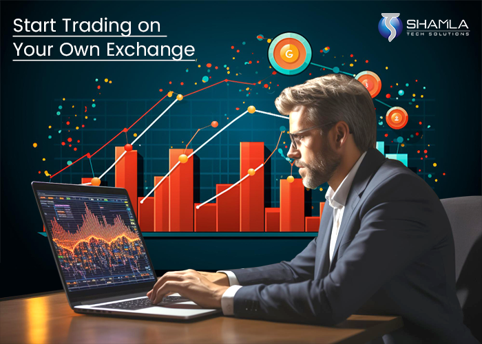 Start a Cryptocurrency Exchange: Understanding Liquidity Pools and Their Role in Cryptocurrency Exchanges