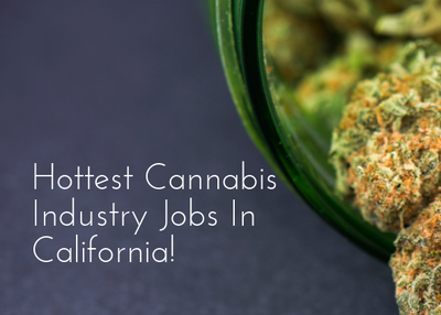 Hottest Cannabis Industry Jobs In California!