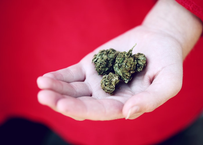Is Medical Marijuana the Cure to Cachexia?