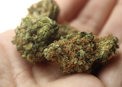 Online Medical Card: An Online Cannabis Portal For The Best User Experience