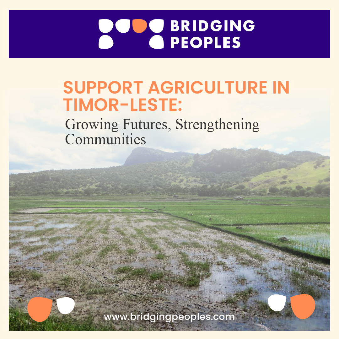 Bridging Peoples: Supporting Agriculture in Timor-Leste