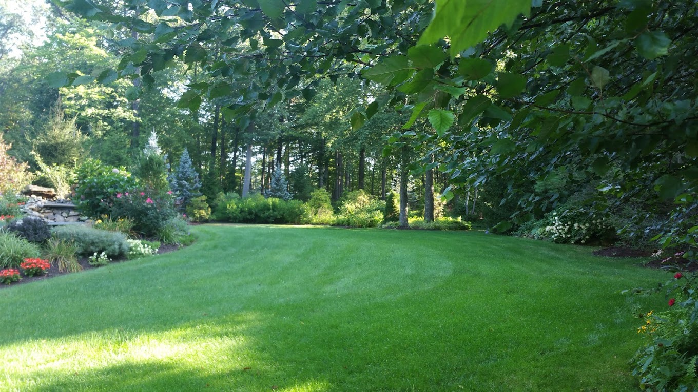 Top Tips from Your Local Lawn and Garden Center Experts