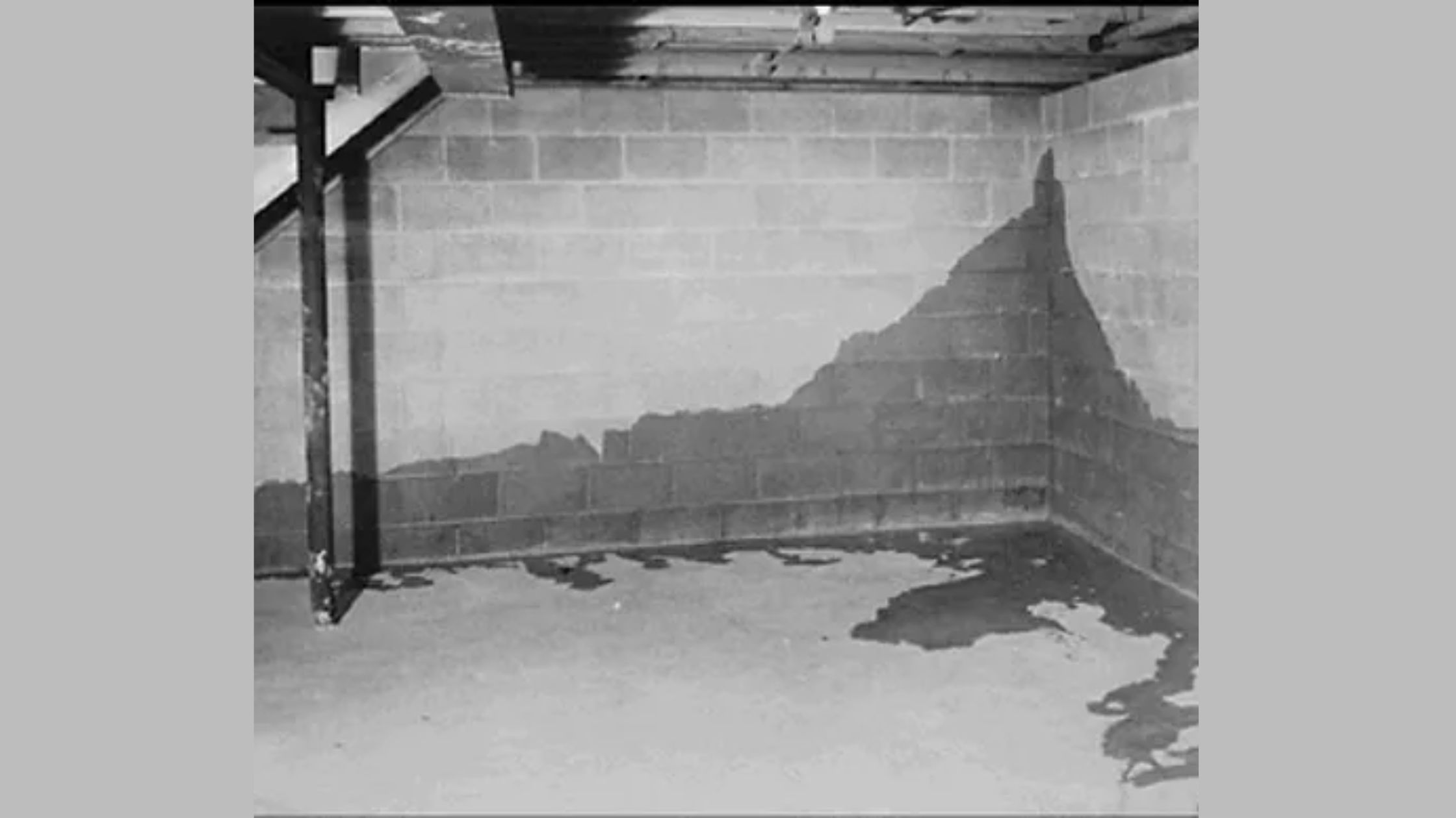 What Steps Are Involved in Commercial Water Damage Restoration?