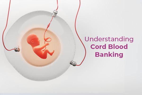 A Guide To Stem Cells: Types, Benefits, And Sources