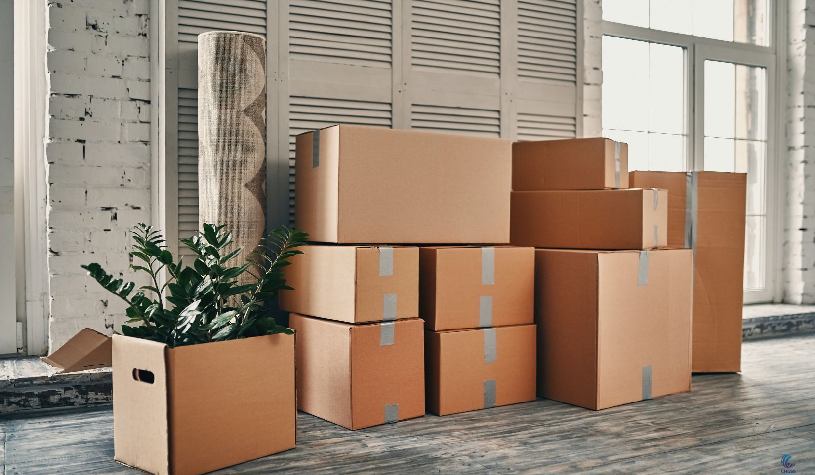 The Best Moving and Storage Advice for a Smooth Move