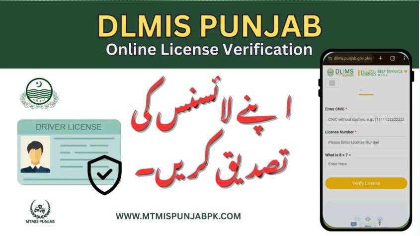 Everything About Punjab Driving Licence System