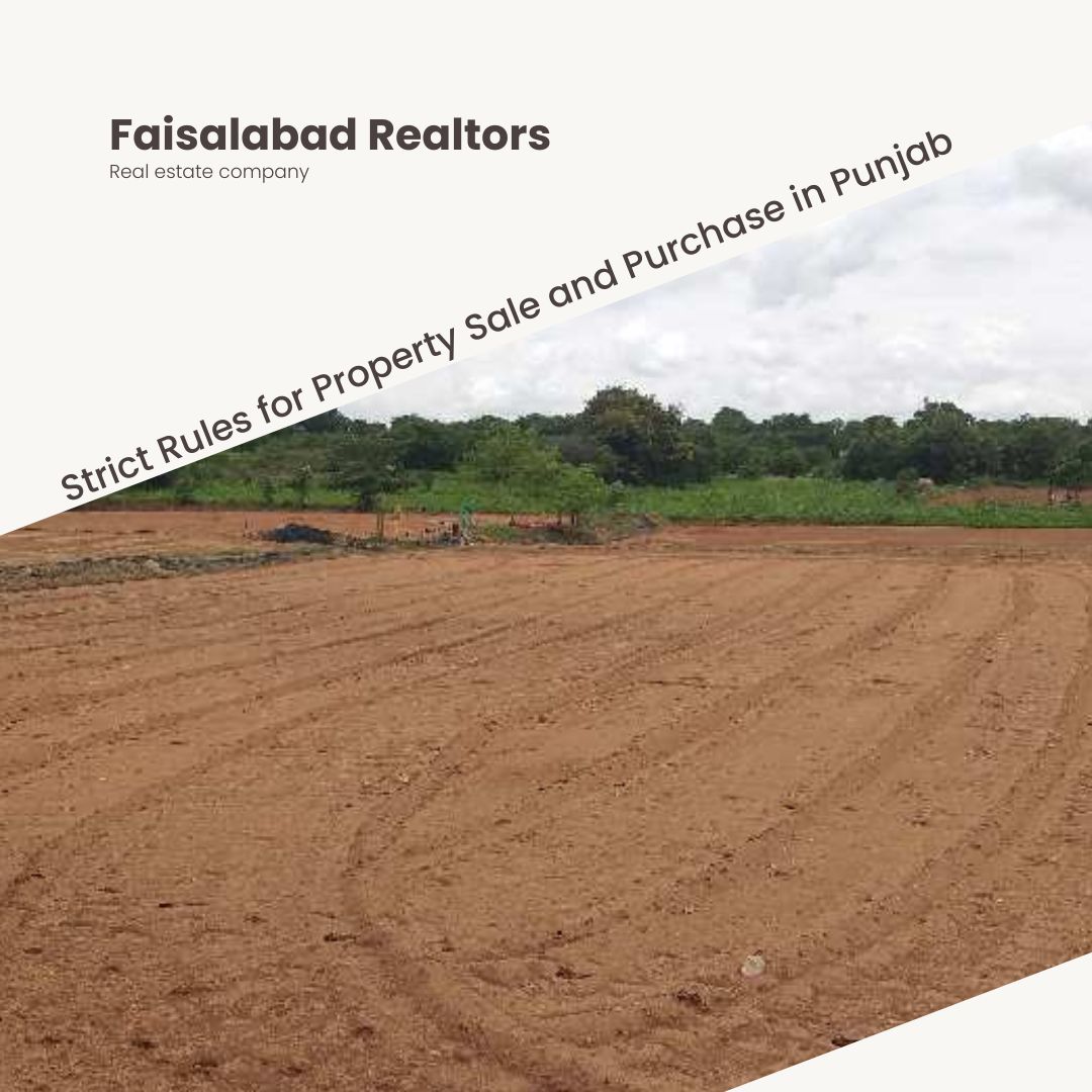 Agricultural Land for Sale in Faisalabad: A Complete Investment Guide