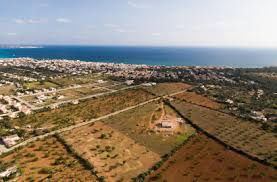 Understanding Different Types of Plots in Faisalabad