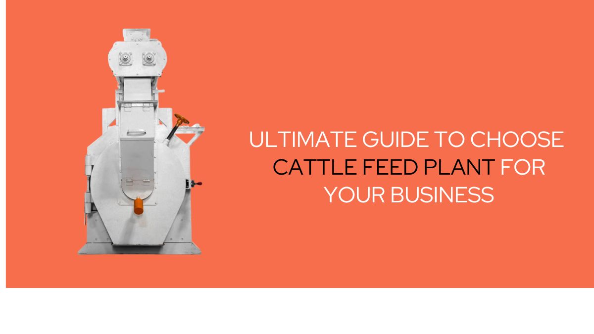 Ultimate Guide to Choose Cattle Feed Plant for Your Business