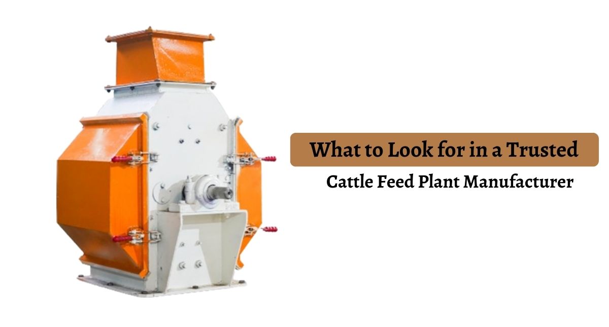 What to Look for in a Trusted Cattle Feed Plant Manufacturer