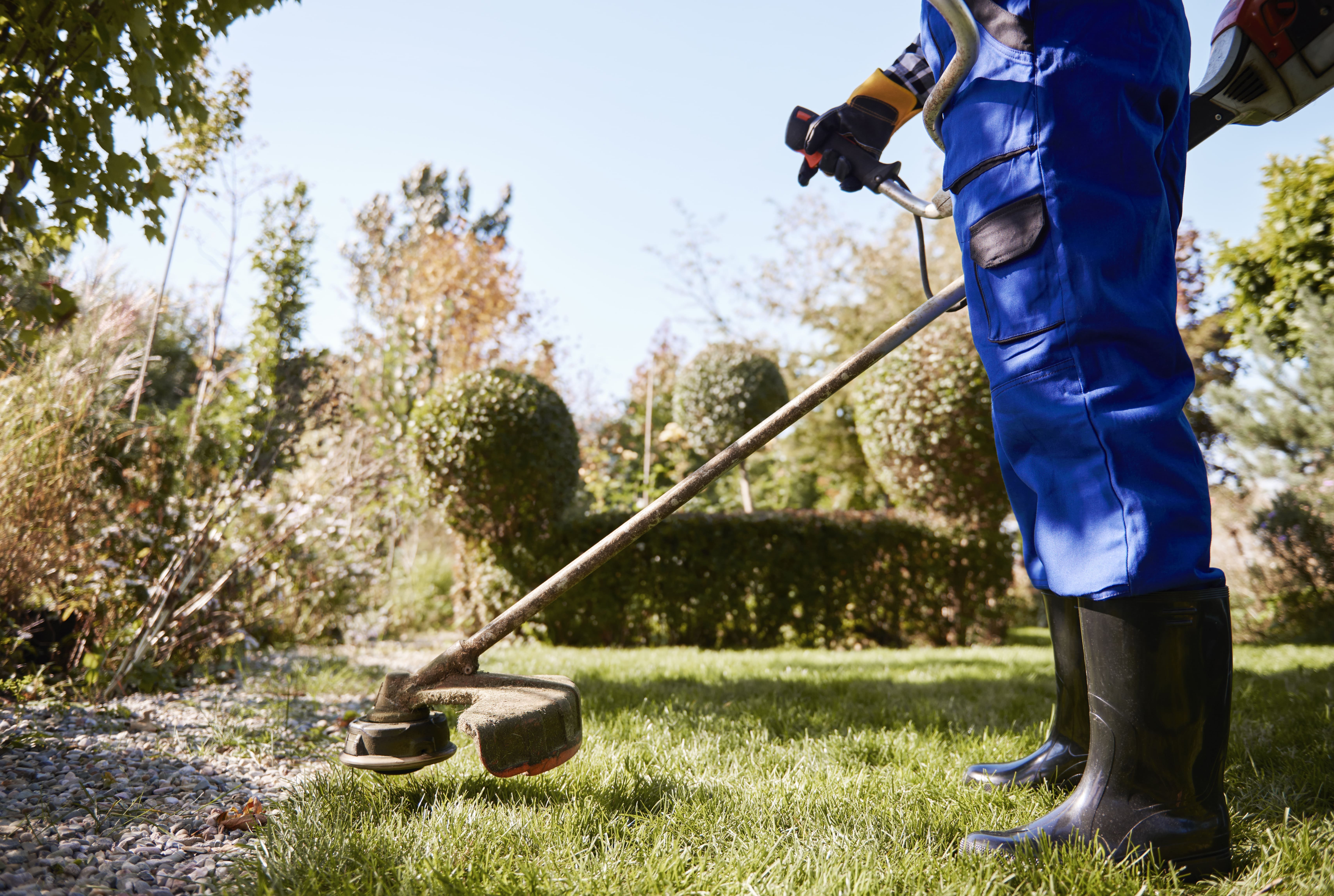 Top 5 Garden Maintenance Services in Australia