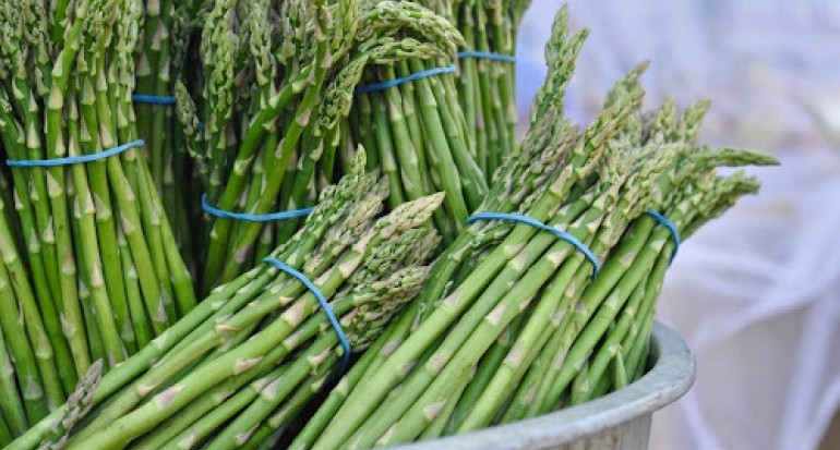Asparagus Market Experiencing Strong Growth Trends by Automation of Agriculture