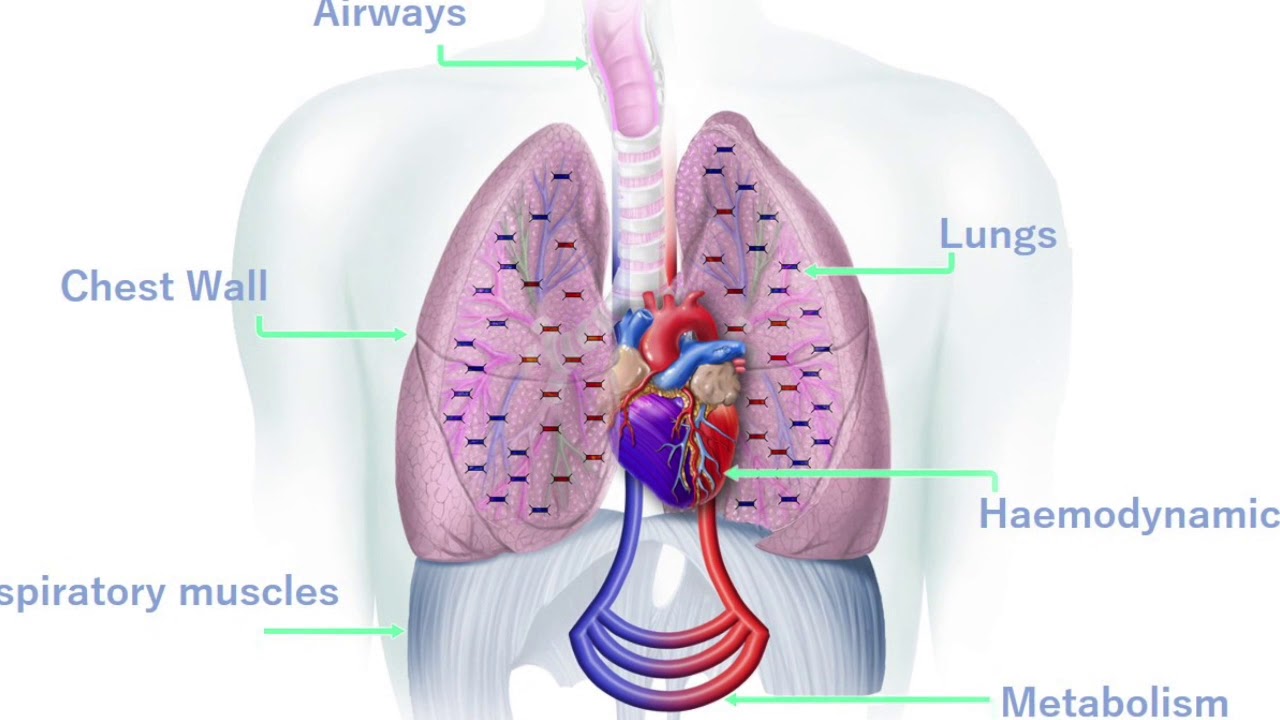 Respiratory Care Market is Estimated to Witness High Growth Owing to Remote Patient Monitoring Advancements