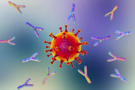 Antibodies Market Trending Through Use in Life Science and Biotechnology Applications
