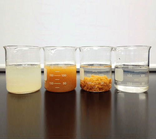  The Flocculant and Coagulant Market is Poised for Growth Driven by Rising Water Treatment Needs