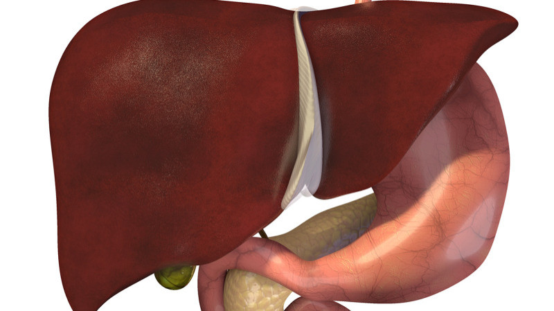 Biliary Atresia Treatment Market Accelerates with Innovative Therapies