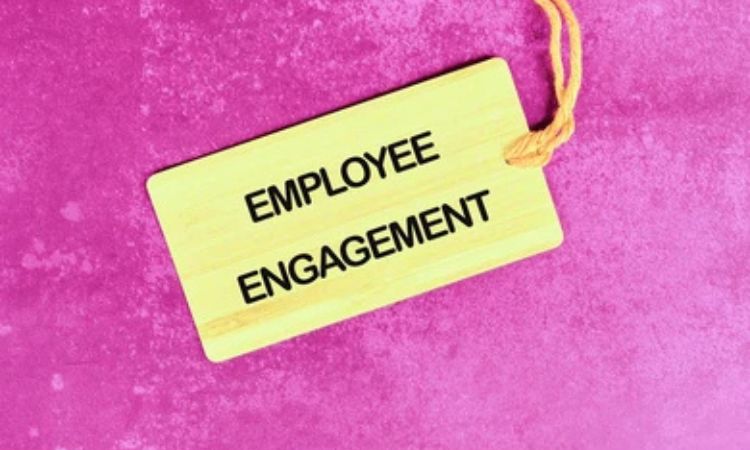How to Choose the Best Employee Engagement Program in India