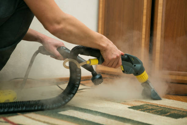 The Difference Between Dry Cleaning and Steam Cleaning Carpets