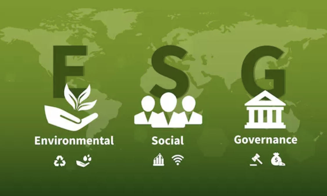 保證在加強永續發展報告框架中的角色