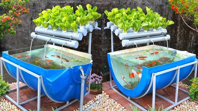 Aquaponics Market Demand Surges with Growing Focus on Water Conservation and Efficiency