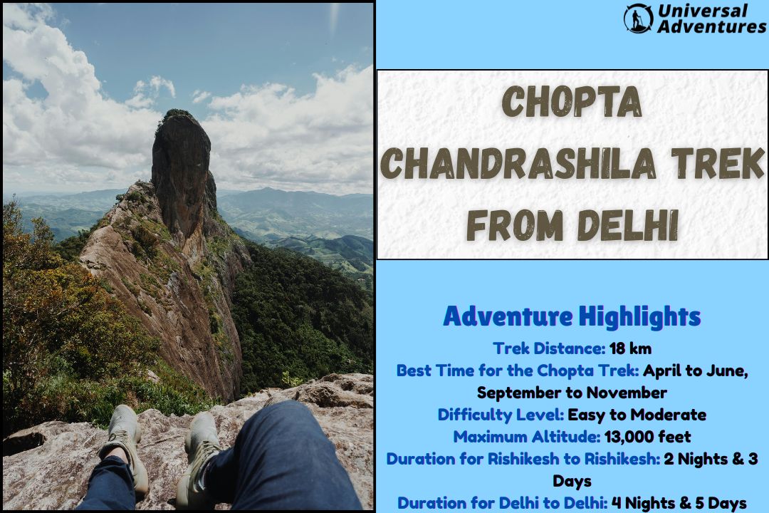 Temple, Trails, Triumph: Conquering the Chopta Chandrashila Trek!