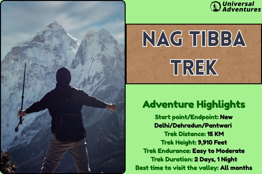 Nag Tibba Trek: Camping, Exploring and Affordable Packages!
