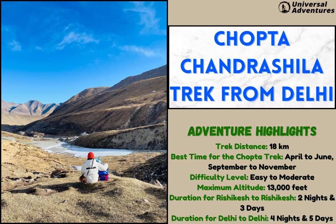 Chopta Altitude: Conquer It With Joy!