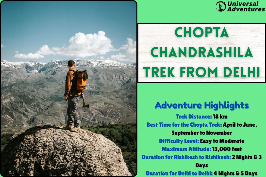 Chopta Tungnath Trek: What Activities Can I Do During the Trek?