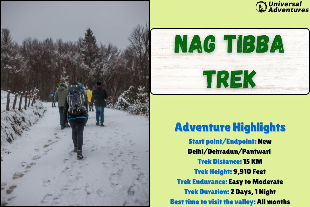 One Night, One Peak, One Question—Are You Nag Tibba Ready?