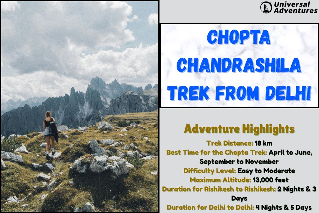 Delhi to Chopta Chandrashila Trek: Your Adventure Starts Here!