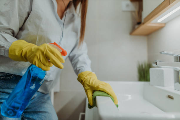 Home Cleaning Advice for Allergy Sufferers in Los Angeles
