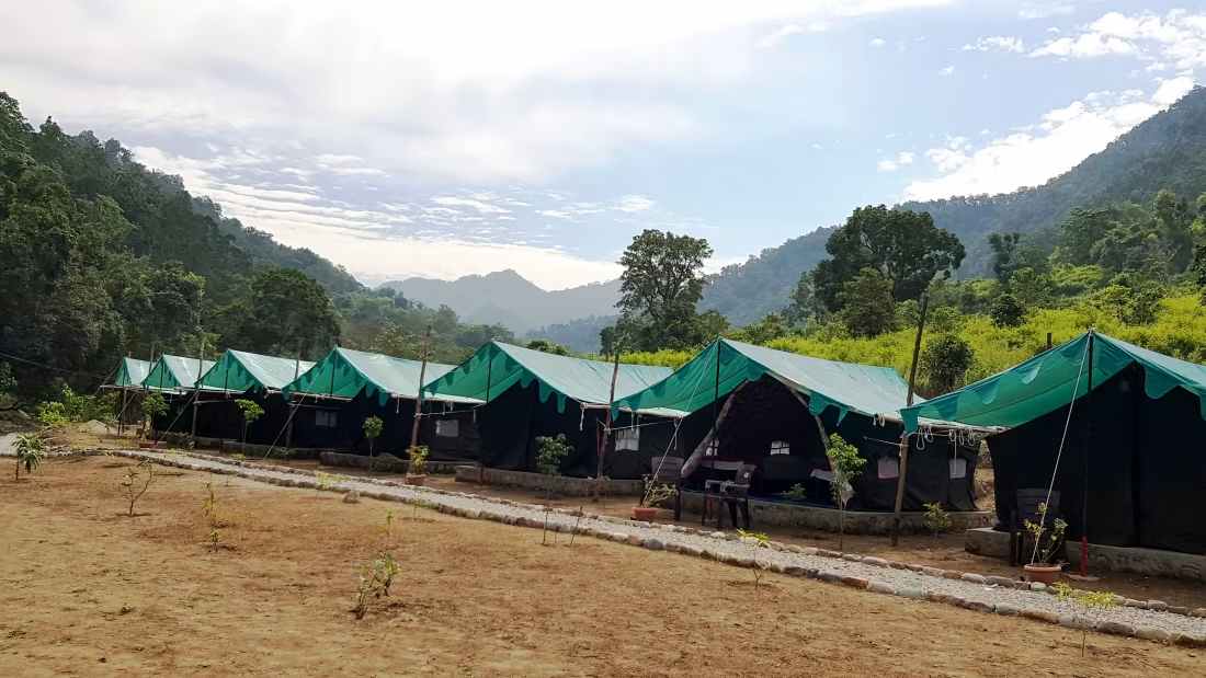 Discover Pet-Friendly Resorts in Rishikesh: Luxury and Comfort at The Raajas Camp & Resorts