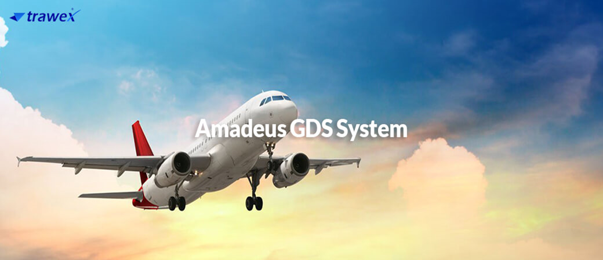 Amadeus GDS Software 