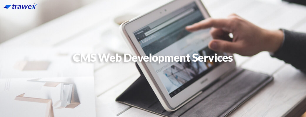CMS Development Services 