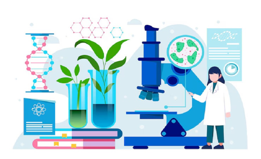 Biopharmaceuticals Market Share 2025: Risks, Returns, and Emerging Sectors to 2032