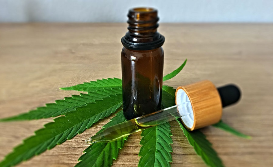 Cannabis Market 2032: Industry Size, Segmentation, and Future Demand