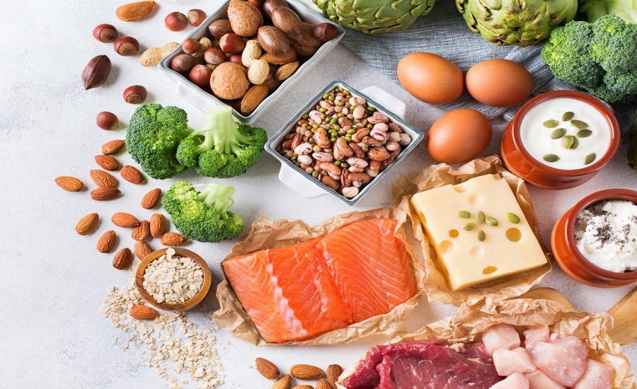 Protein Market 2032: Where Health, Innovation, and Sustainability Converge