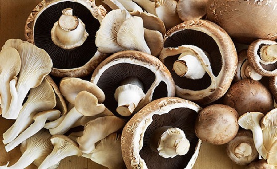 Mushroom Market Demand Analysis and Growth Potential by 2032