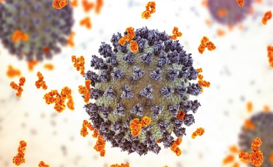 Immunology Market: Mapping the Intersection of Innovation and Investment