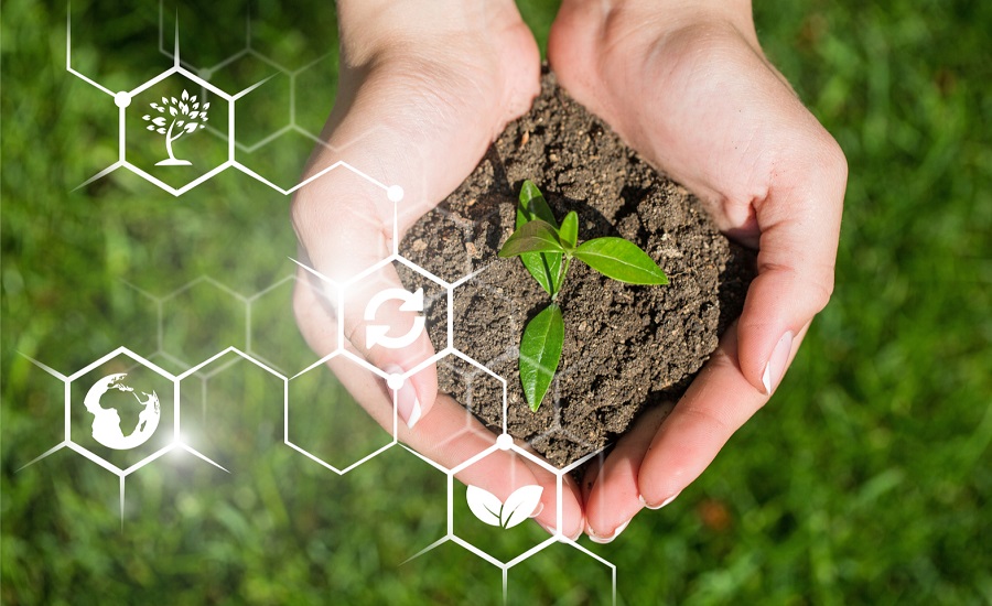 Biostimulants Market 2025: Navigating Growth in a Sustainable Agriculture Era