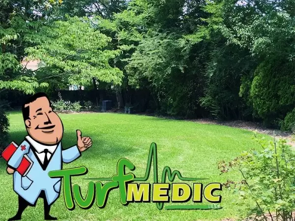 Lawn Fertilization Virginia