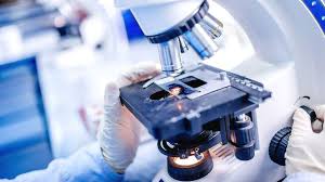 Microscopy Market: Illuminating the Future of Research