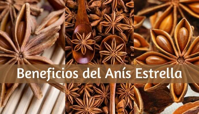 What is the star Anise Properties and Benefits