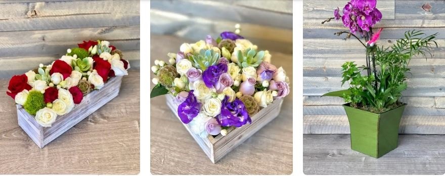 Our Top Notch Florist In Campbell Ca Area For Best Services