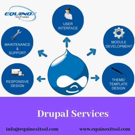 Drupal Development Service