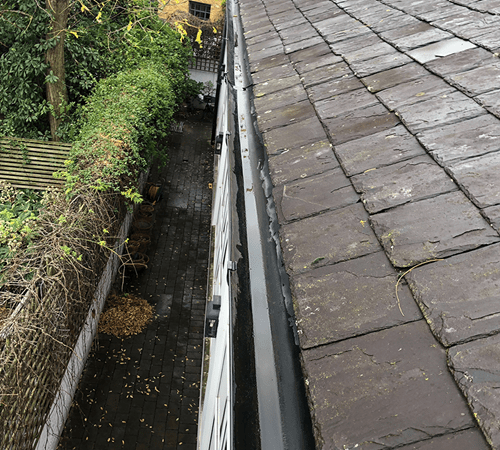 Comprehensive Guide to Gutter Cleaning Melbourne for Homeowners