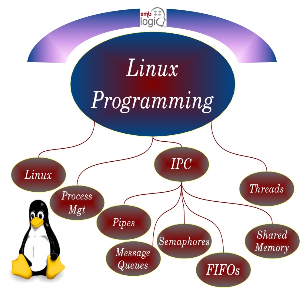 Linux Network Programming online