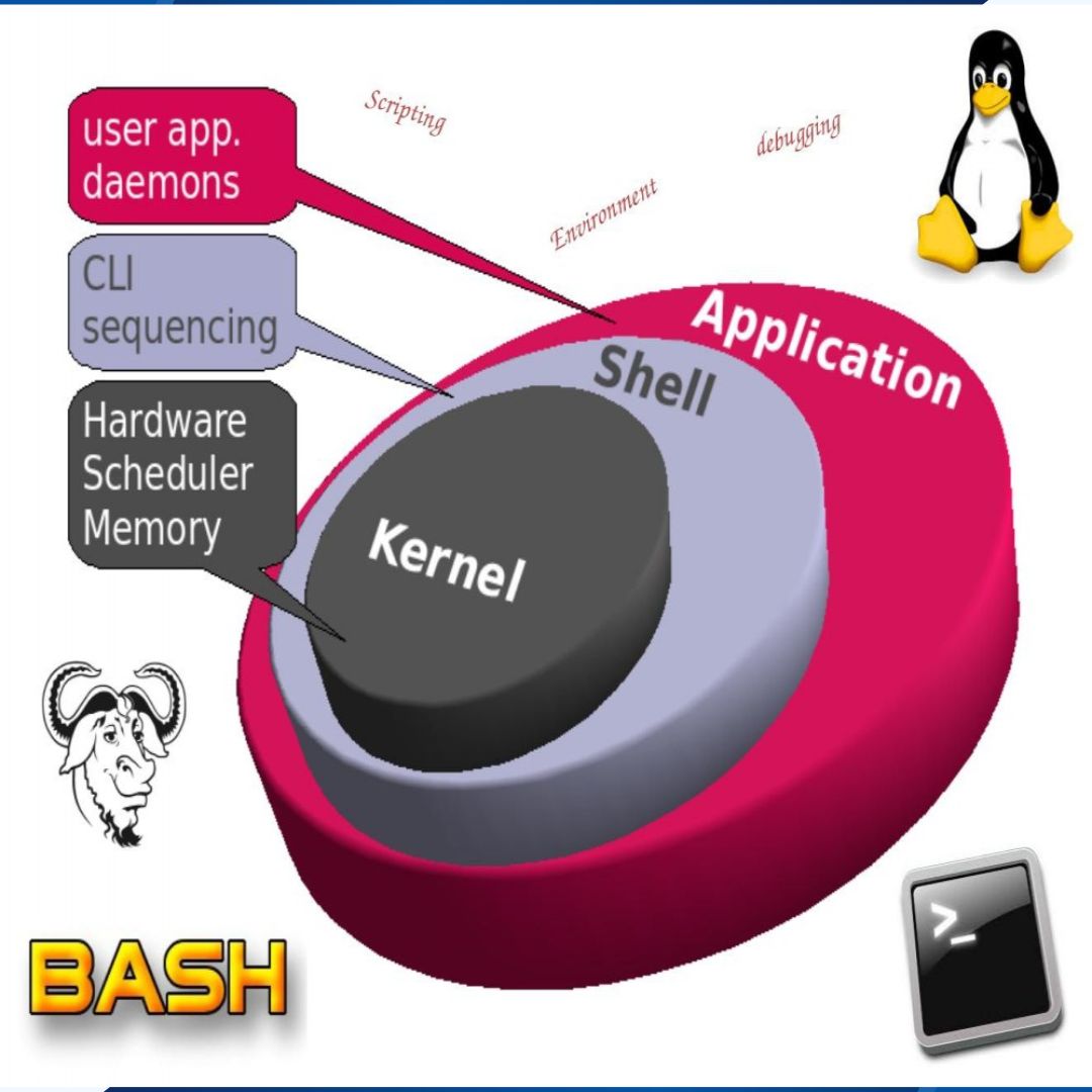 Writing Shell Scripts Using Bash