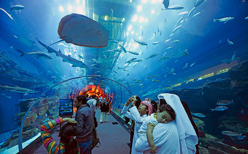 Explore the Dubai Mall and its Incredible Aquarium